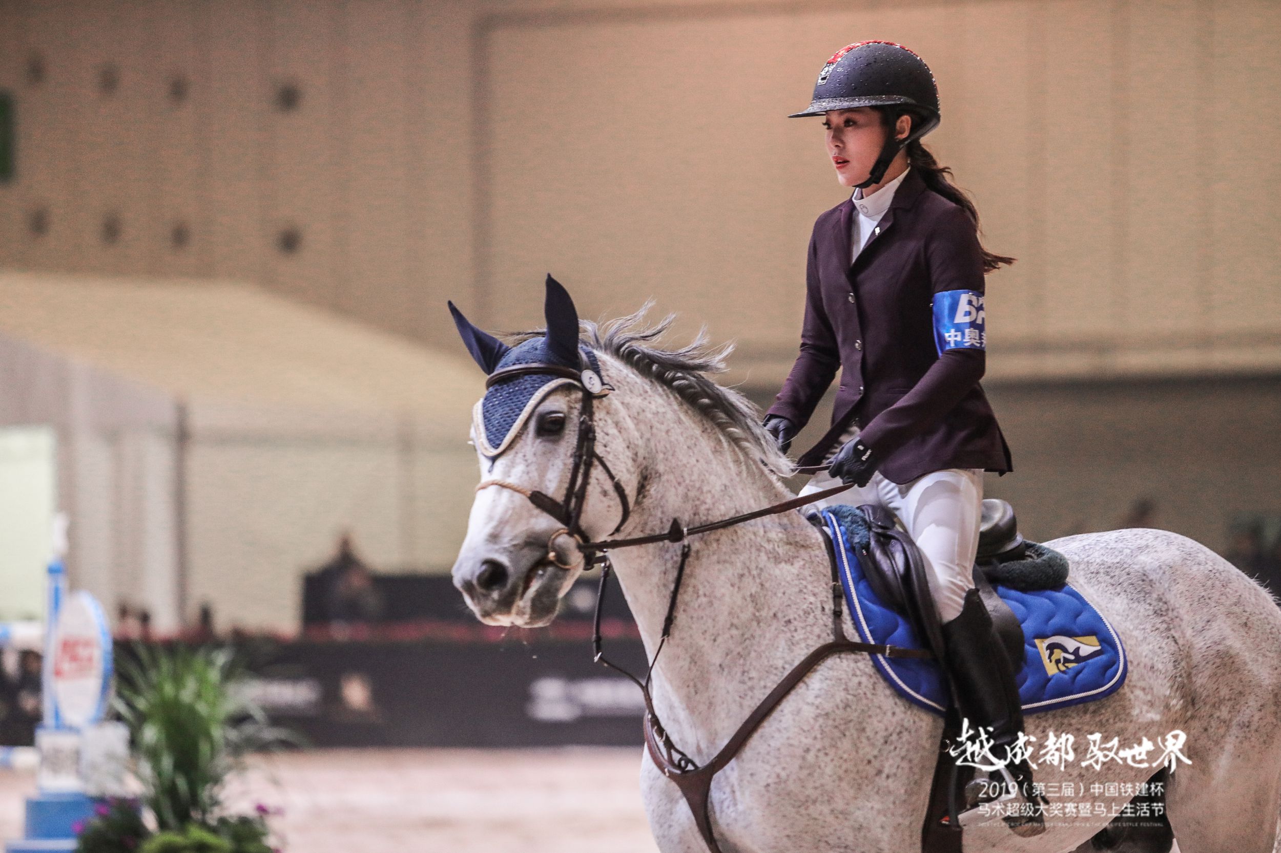 古传良骏日行千里 今有亚星游戏官网蓉城飘香